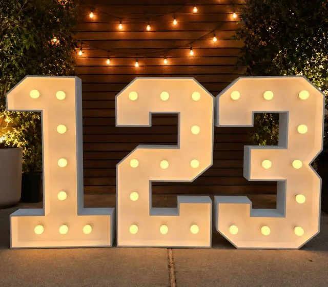 4 ft Light-Up Numbers Antelope CA