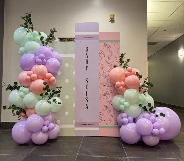 Balloon Arch Backdrop Carmichael CA