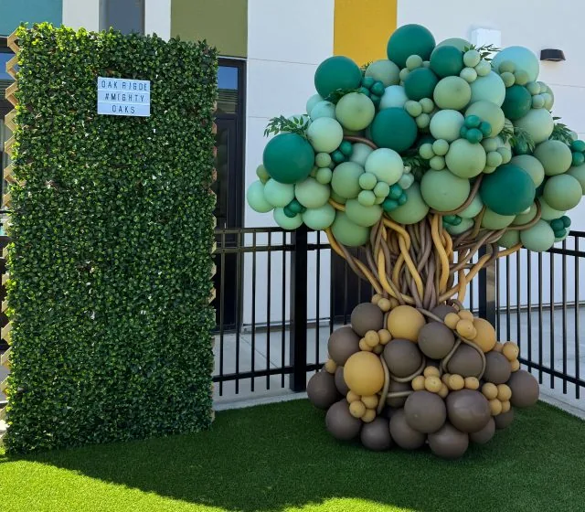 Custom Balloon Tree Carmichael CA