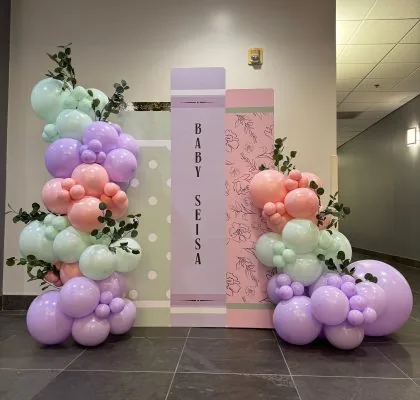 Balloon Backdrops Carmichael CA