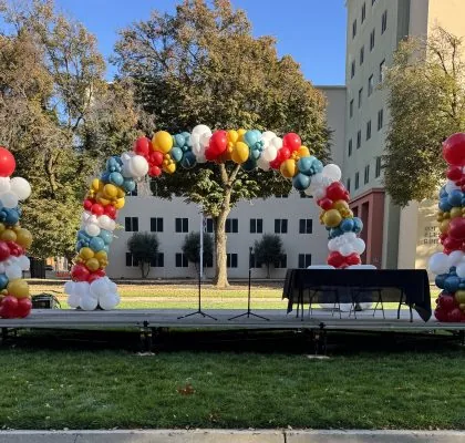 Organic Balloon Arch Orangevale CA